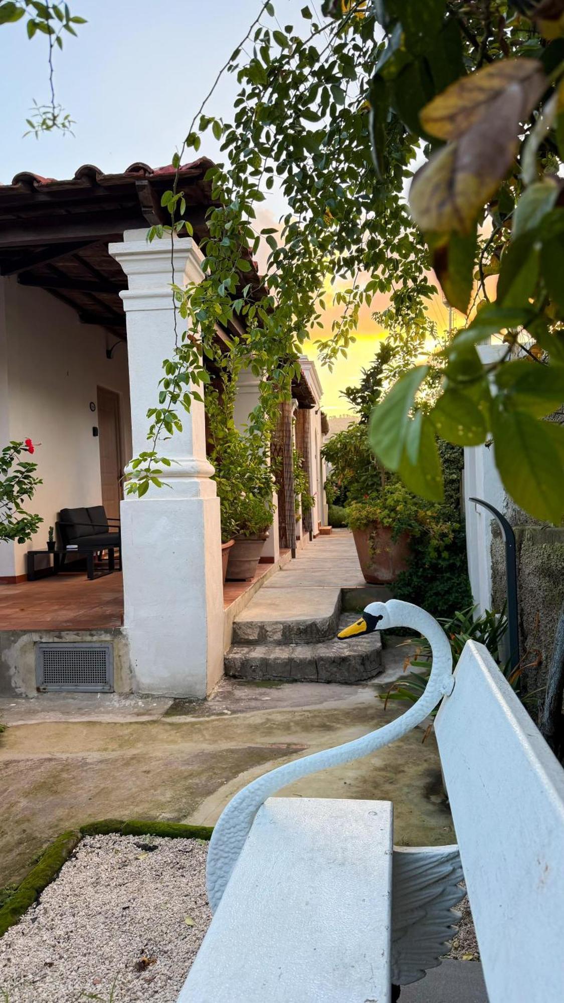 Il Cigno B&B Capri Extérieur photo
