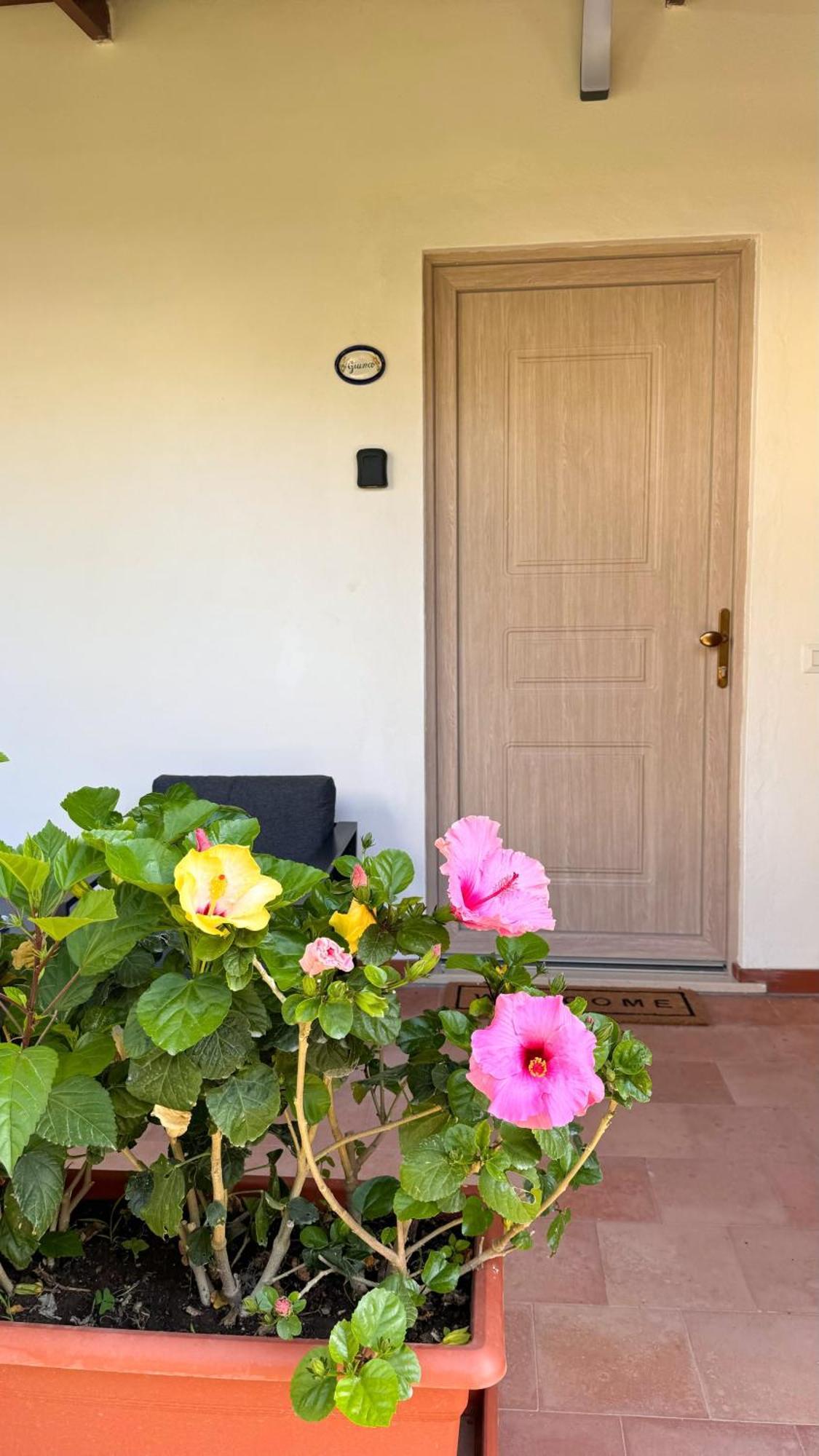 Il Cigno B&B Capri Extérieur photo