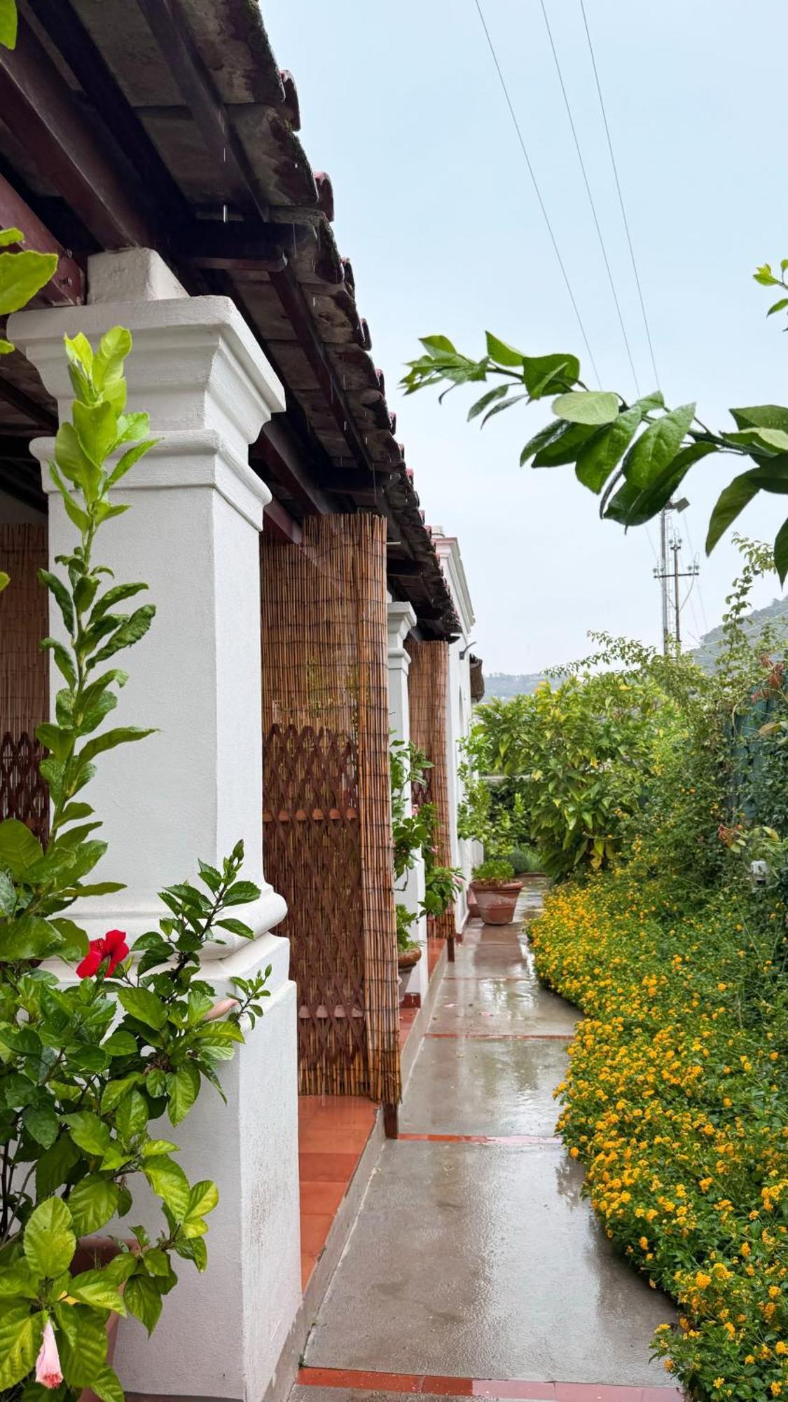 Il Cigno B&B Capri Extérieur photo