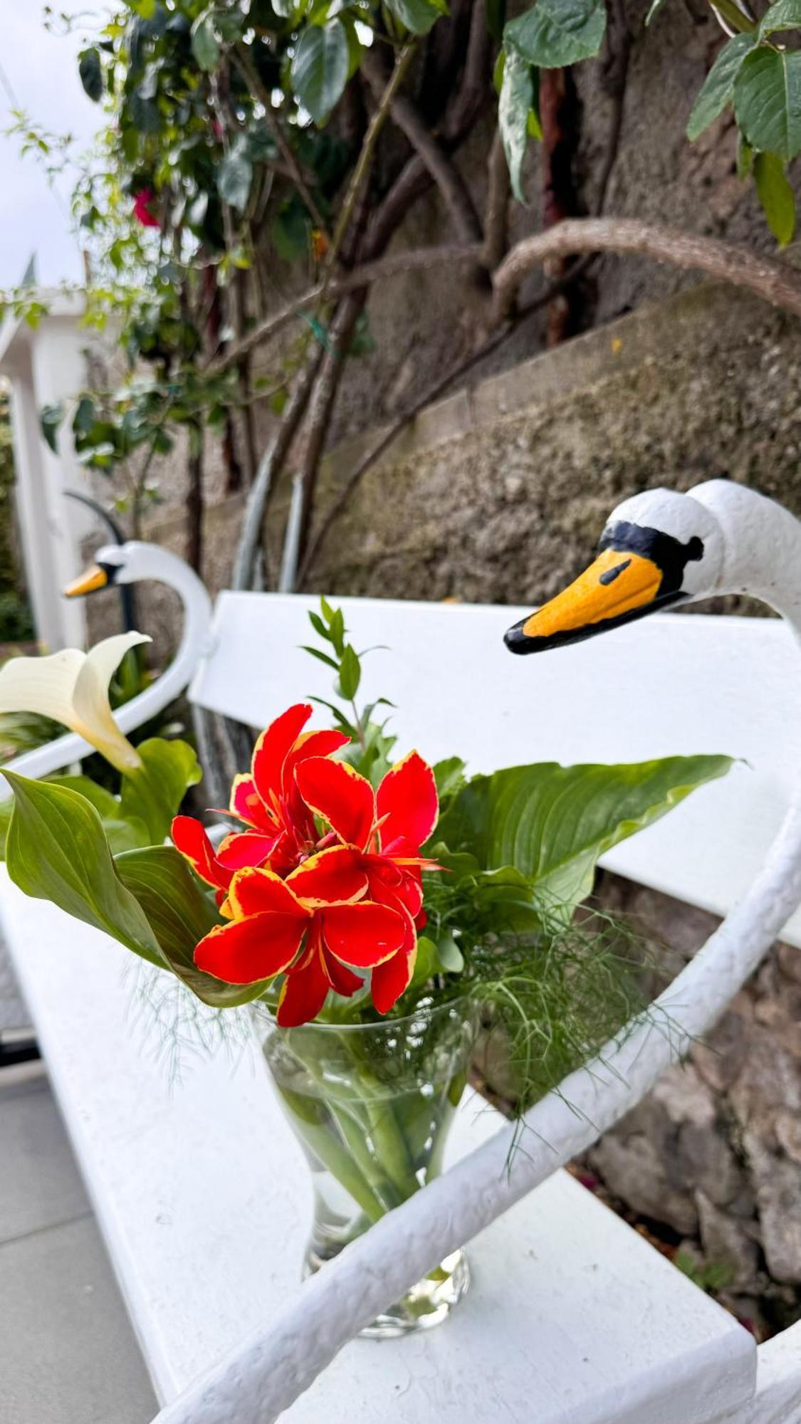 Il Cigno B&B Capri Extérieur photo