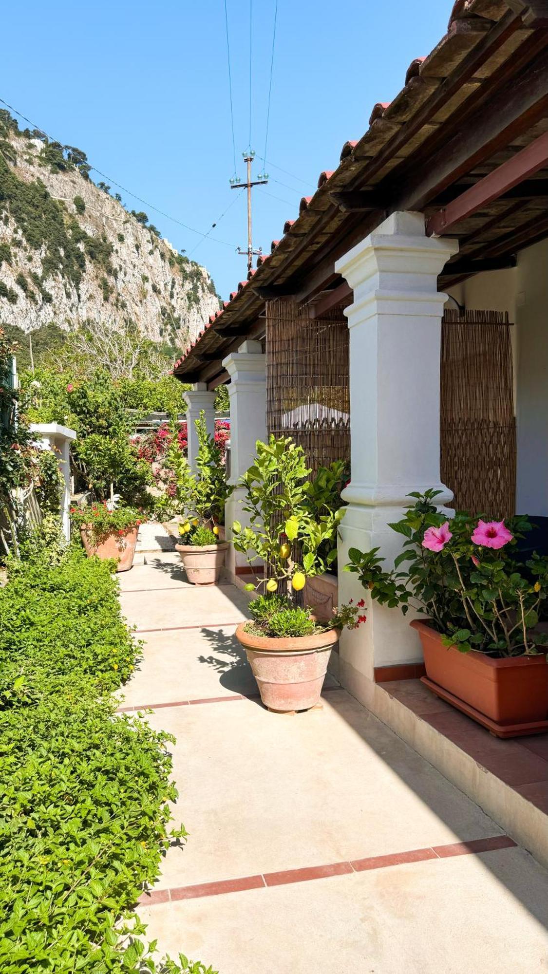 Il Cigno B&B Capri Extérieur photo