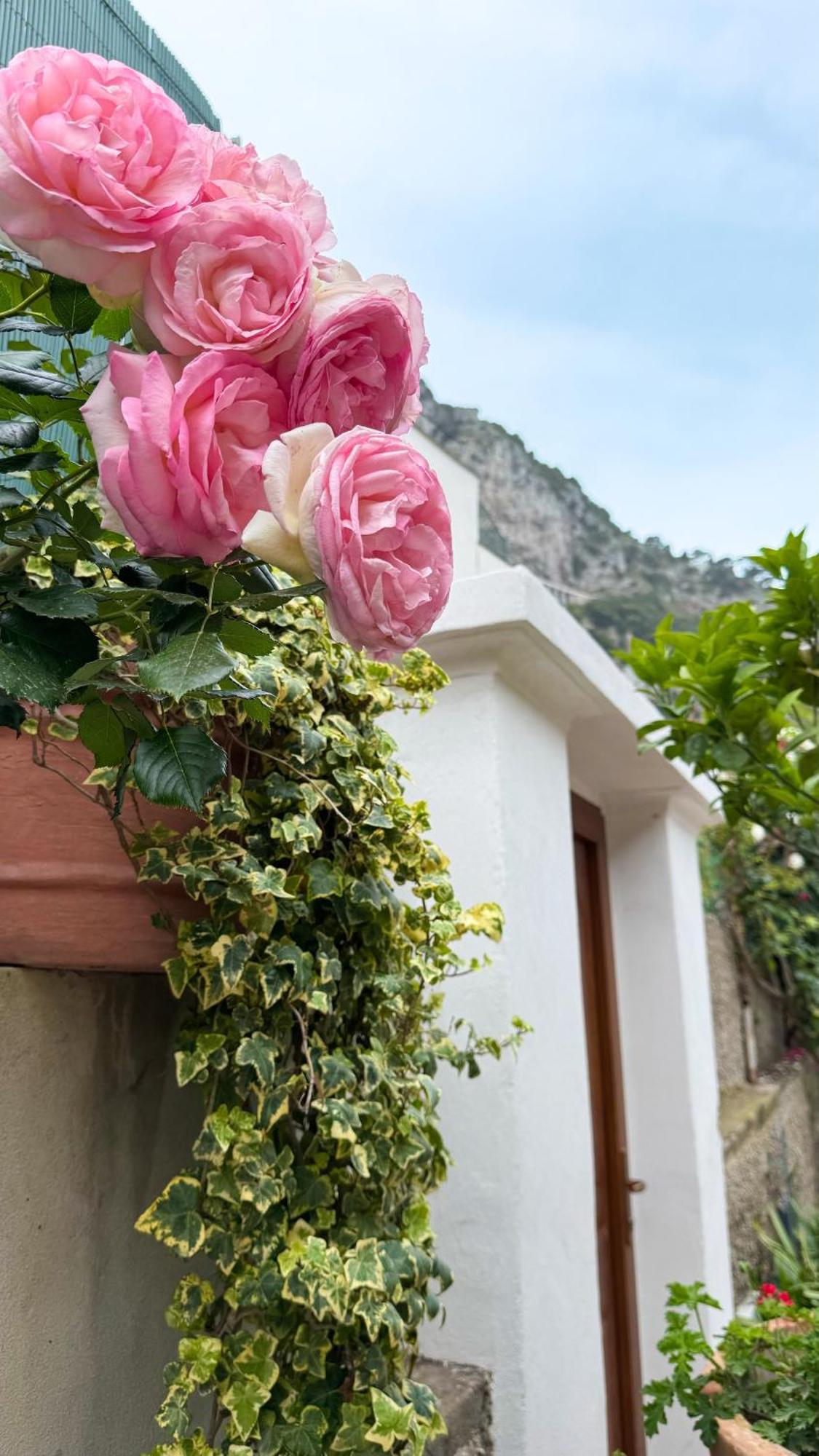 Il Cigno B&B Capri Extérieur photo